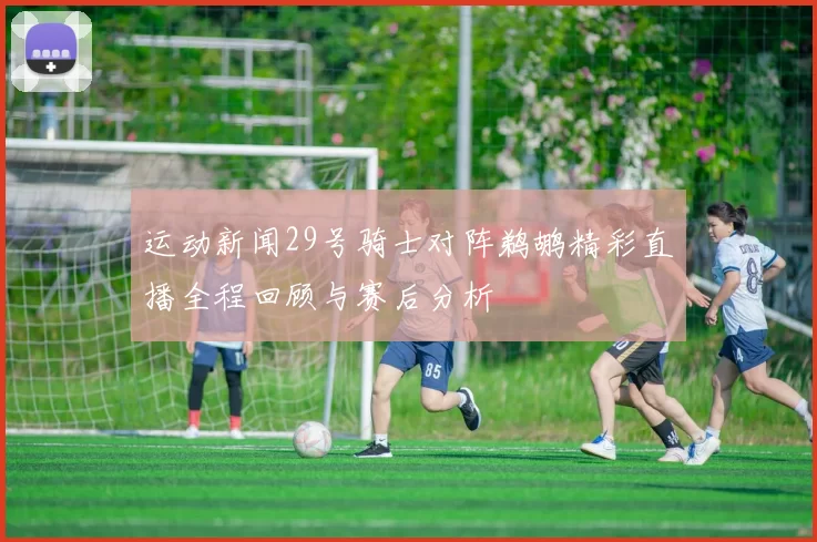运动新闻29号骑士对阵鹈鹕精彩直播全程回顾与赛后分析