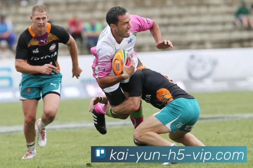 App Interface Preview